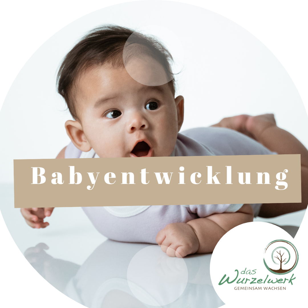 babyentwicklung